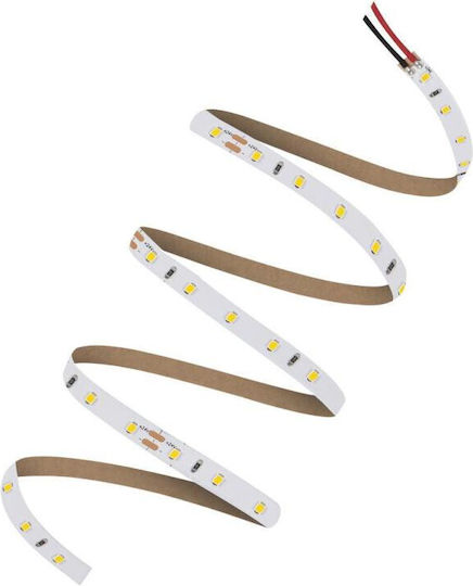 Ledvance Bandă LED 24V Alb Cald Lumină 5m