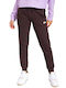 Sweatpants Jogger Brown