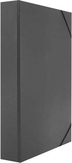 Leizer Plastic File Box with Rubber Band 35x25cm Grey