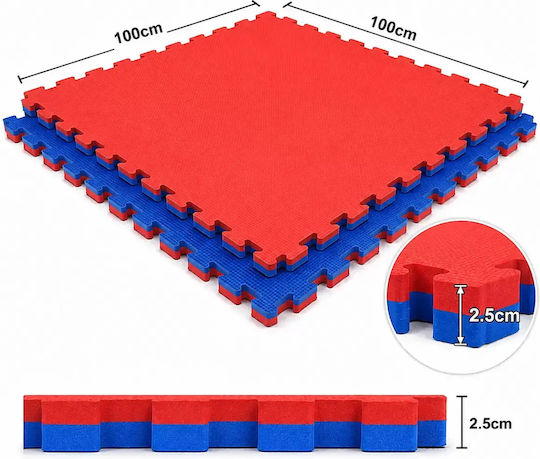 Double Sided Red/Blue Puzzle Gym Mat 100x100x2.5cm 1 Piece