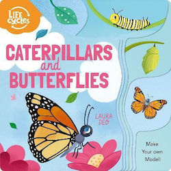 Caterpillars and Butterflies