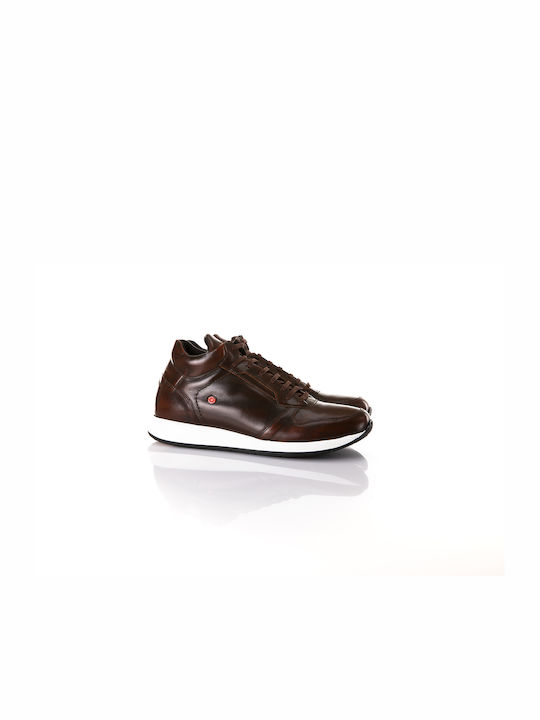 Robinson Sneakers Brown