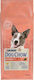 Dog Chow 14kg Dry Food for Adult Dogs with Chicken