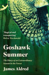 Goshawk Summer