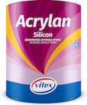 Vitex Acrylan Silicon 0005 Plastik Farbe für Äußeres Verwendung Kiara 10Es