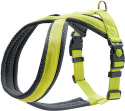 Hunter London Comfort Galbene Mediu / Mic 52-62cm
