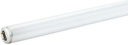 Olympia Electronics Fluorescent Lamp with Shape T8 15W