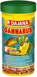 Dajana Gammarus Τροφή για Χελώνα