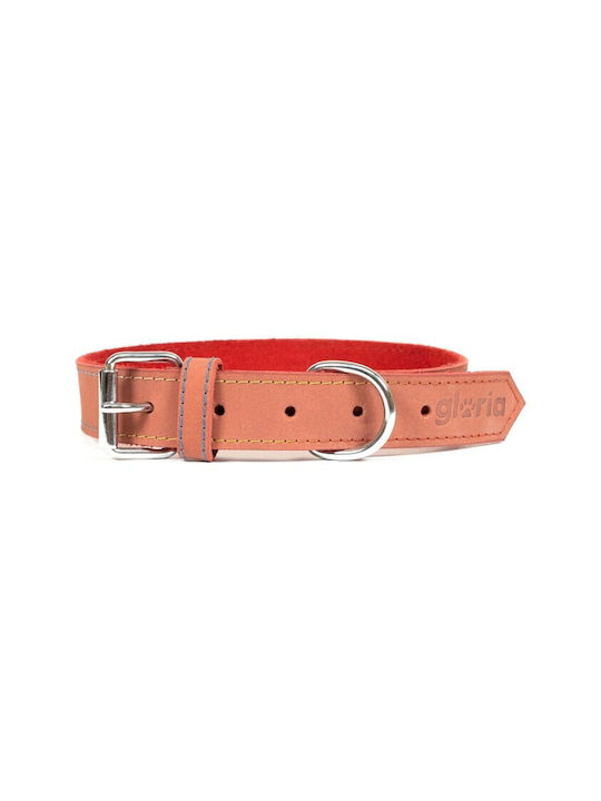 Gloria Oasis Dog Collar Leather In Red Colour 30mm x 60cm