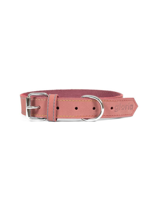 Gloria Oasis Dog Collar Leather In Pink Colour 30mm x 65cm