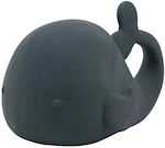 Nattou Whale Bath Toy for 0++ Months