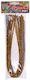 Describo Pipe Cleaners 20pcs in Gold Color