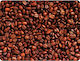 Defender Sticker Mouse Pad (220mm) Coffee 50405-02