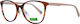 Benetton Weiblich Kunststoff Brillenrahmen Braun BEO1027 151