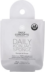 Daily Concepts Konjac Pure Σφουγγάρια Konjac Καθαρισμού Προσώπου Daily Concepts Konjac Pure Σφουγγάρια Konjac Καθαρισμού Προσώπου