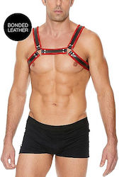 Shots Ouch! Buckle Bulldog Harness
