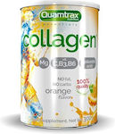 Quamtrax Nutrition Collagen 300gr