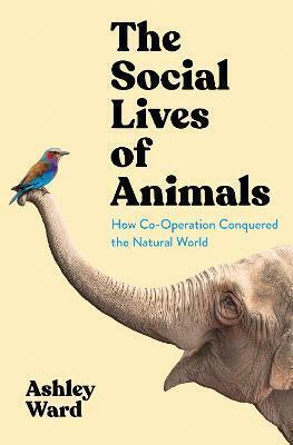 The Social Lives of Animals - Ashley Ward | Skroutz.gr