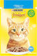 Friskies Wet Food for Adult Cats in Pouch with Salmon 85gr
