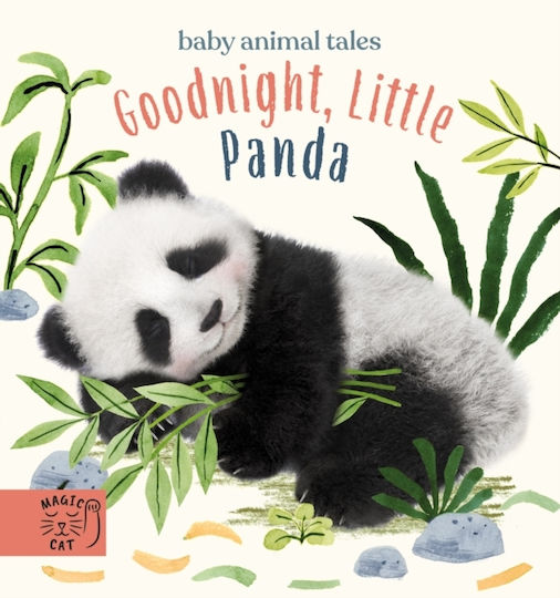 Goodnight, Little Panda, Board Book
