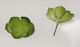 Faitakis Pack Floare decorativă pentru proiecte DIY Verde 7x5cm.