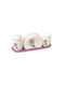 AGC Salt and Pepper Set Ceramic with Stand 3pcs