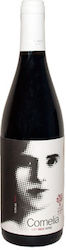 Agelakis Winery Cornelia Red Dry 750ml Agelakis Winery Cornelia Red Dry 750ml