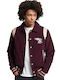 Superdry Men's Bomber Jacket Purple