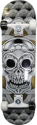 Athlopaidia Smile Skull 8" Complet Placă scurtă...