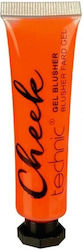 Technic Liquid Ρουζ