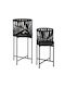 Metal Plant Pot Black with Stand 24.9x24.9x20.5cm Set of 2
