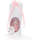 Christening Favor with Decorative Mermaid 24 Pieces