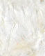 Artemio White Craft Wing