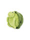 Noxxiez Kids Decorative Pillow Turtle Green 35x35cm