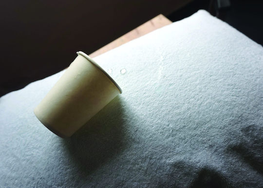 Blanc de Blanc Deckblatt Hotel Wasserdicht 140x200cm 1Stück