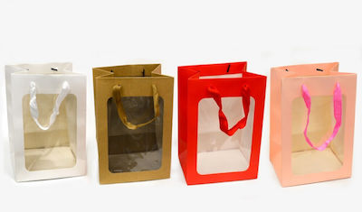 BAG WITH WINDOW SMALL 18x25cm x 13cm - 12 pieces