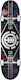 Element Complete Shortboard Πολύχρωμο