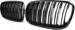 Dekorative Auto Maske BMW X5 (E70) / X6 (E71) / X5 / X6 / E70 Dekorative Auto Maske BMW X5 (E70) / X6 (E71) / X5 / X6 / E70