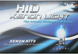 Beltec Audio Xenon h7 w9 can bus Direct Delivery