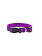Pet Interest Plain Line Dog Collar In Purple Colour Medium 20mm x 32 - 50cm
