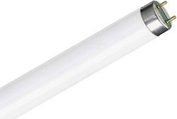 Olympia Electronics Fluorescent Lamp for Socket G13 with Shape T8 15W