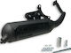 Malossi Wild Lion Motorcycle Exhaust for Yamaha Aerox