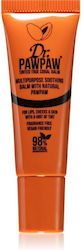 Dr. Pawpaw True Coral Lip Balm 10ml