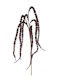 Zaros Christmas Decorative Branch 75cm