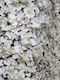 Artificial Foliage Panel With Artificial Orchid 2x1m