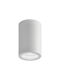 Elmark Spot De Tavan Pentru Exterior E27 În Culoare Albă 96DL305/WH