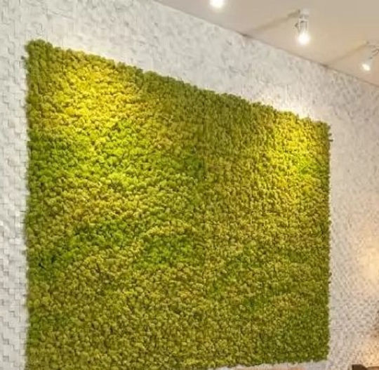 Изкуствена панелна листва Moss 2x2м