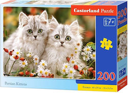 Kids Puzzle Persian Kittens for 7++ Years 200pcs Castorland