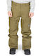 DC Code ADYTP03026-CRB0 Men's Trousers for Ski & Snowboard Green