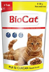 Biotur Biocat Premium 100gr